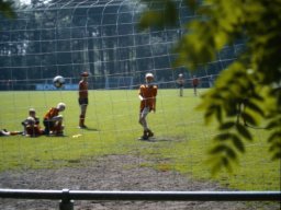 0DIA 1985 RAVA PUPS 1